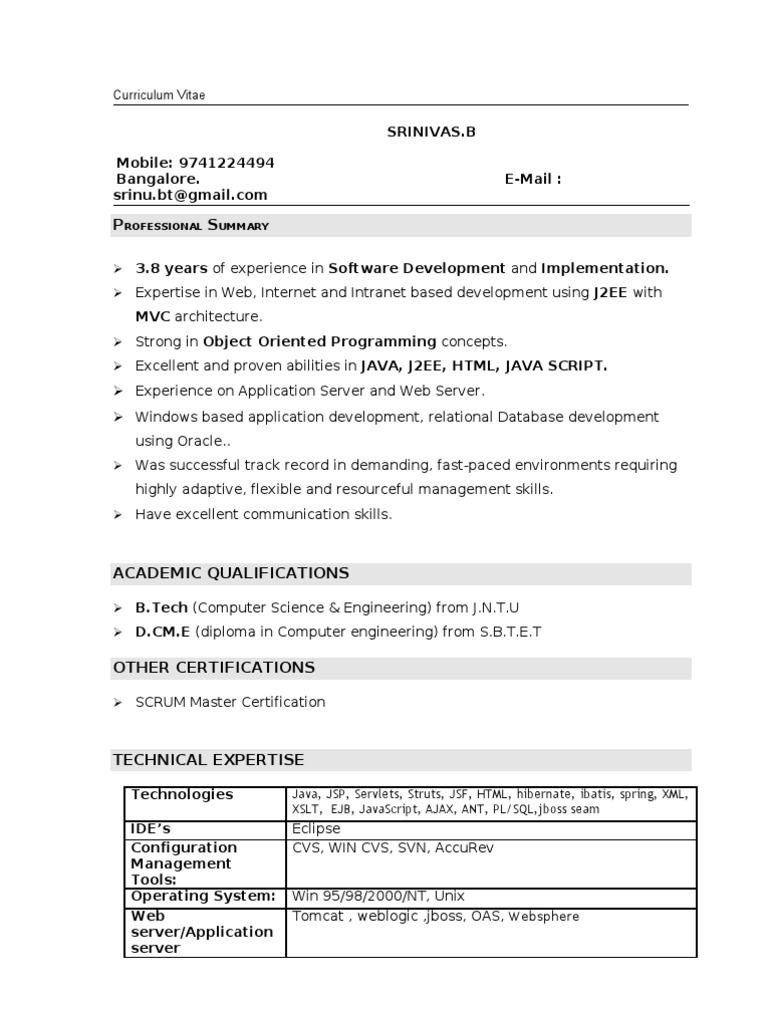 Curriculum vitae apache picture