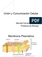 Comunicacion Celular