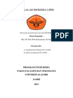 Download Makalah Biokimia Lipid by Nellie Obelia SN232057982 doc pdf