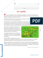 Prueba 1 de Comprension Lectora 6o Año