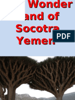 The Wonder Land of Socotra Yemen