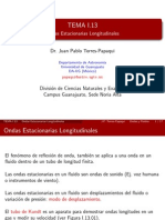 Tema 1.13-Ondas Estacionarias Longitudinales