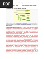 Sistema de Clasificación APG III