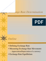 Exchange Rate Determination