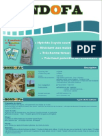 Bondofa PDF