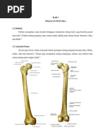 Download fraktur femur by Sara Fadila Pramadani SN232114110 doc pdf