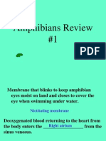 Amphibians Review 1