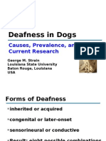 Deafness in Dogs: Causes, Prevalence, and Current Research