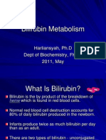 Bilirubin Metabolism: Harliansyah, PH.D Dept of Biochemistry, FKUY 2011, May