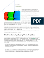 Differences Between Long and Short Peptide Chains