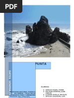 Download TRABAJO PUNTA NEGRA by icemudd SN23215828 doc pdf