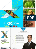 Fuxion Diapositivas Negocio (3)