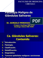 PatologÃ­a de GlÃ¡ndulas Salivares[1]