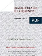 Bases Moleculares: de La Herencia