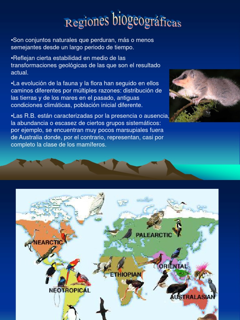 Regiones Biogeográficas del Mundo | PDF