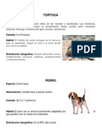 20 animales.docx