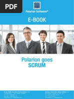 Polarion Goes Scrum