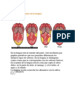 La Lengua Exposicion