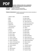 Malagasy Names and Their Meanings | PDF
