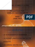 Presentacion Camilo Gachancipá