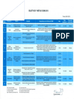 Objetivos y Metas CSSM 2013 (2)