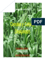 Intro Cereales 2012