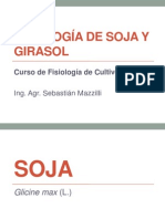 Soja y Girasol 2012