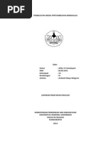 Download Pembuatan Medium Pertumbuhan Mikroalga by Atika Adista SN232225505 doc pdf