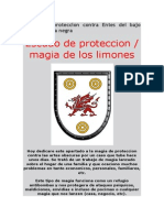 Escudo de Proteccion Contra Entes Del Bajo Astral y Magia Negra