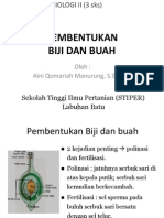 Pembentukan Biji Buah