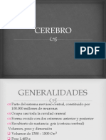 Cerebro 140521153146 Phpapp02