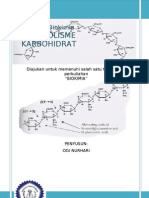 Download Metabolisme Karbohidrat Bio Chem - Ogi NH by OuGhie Nh SN23224854 doc pdf