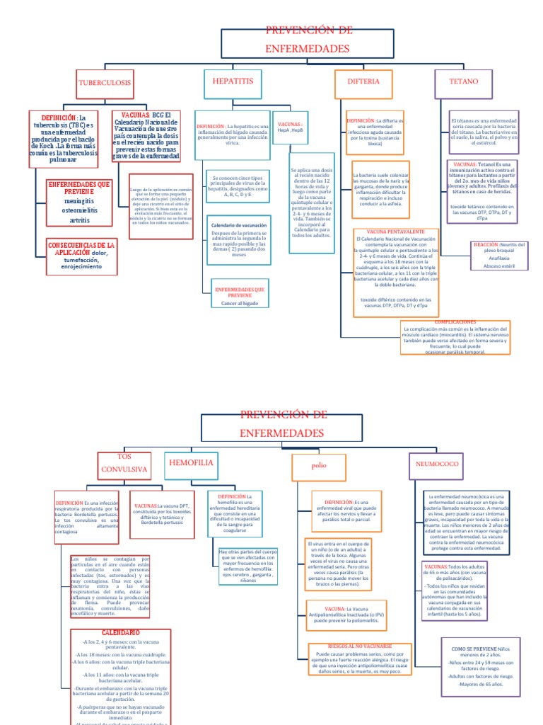 Mapa Conceptual Enfermedades