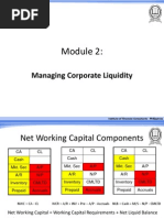 Cash Flow and Working Capital Management - Module 2 - Comprehensive Liquidity Index, Cash Conversion Cycle