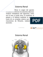 Clase 6 PDF