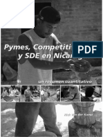 1.2 PyMEs Competitividad y SDE en Nic