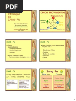 ZANG+-+FU+introdução+sábado+cedo[1]