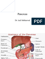 Pancreas: DR Anil Sabharwal