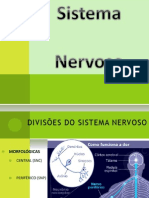 06 Sistema Nervoso 2012