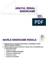 Sindroame Renal