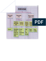 Mapa Mental Los Recursos Naturales
