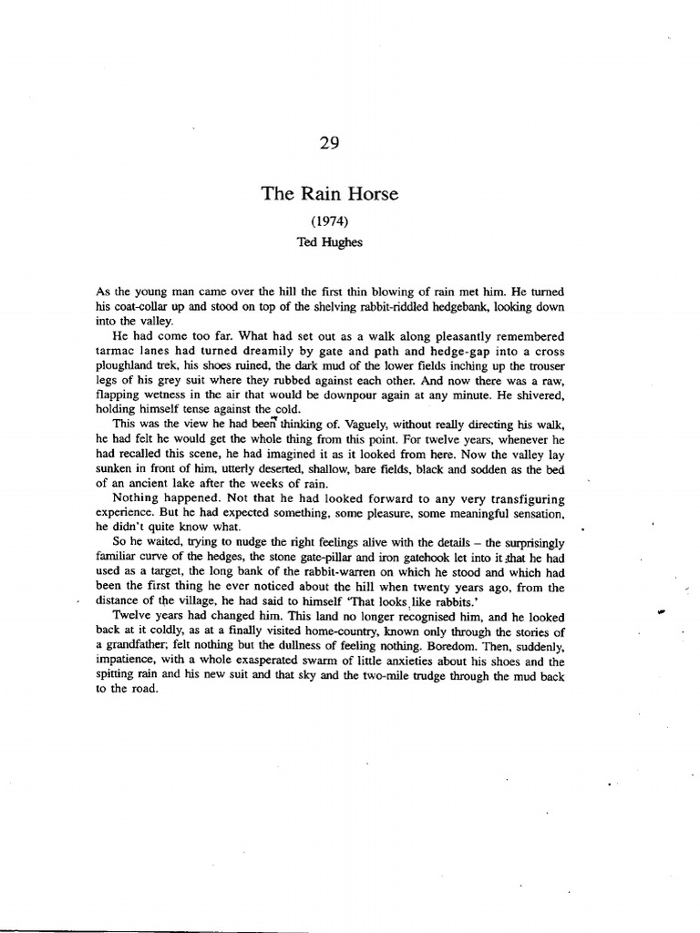 Rain horse ted hughes essay 08 picture
