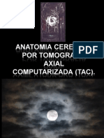 taccraneal-110504133524-phpapp02