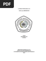 Download LP Ckd Causa HT Erin by Ardhika Andriansyah SN232339428 doc pdf