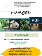 Fungos 2010-2