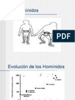 3-hominidos