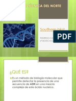 Southern Blot