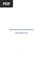 Cronograma de Treinamento Da Multimídia