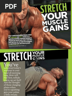 Stretch Muscle Gains -  Stevenson