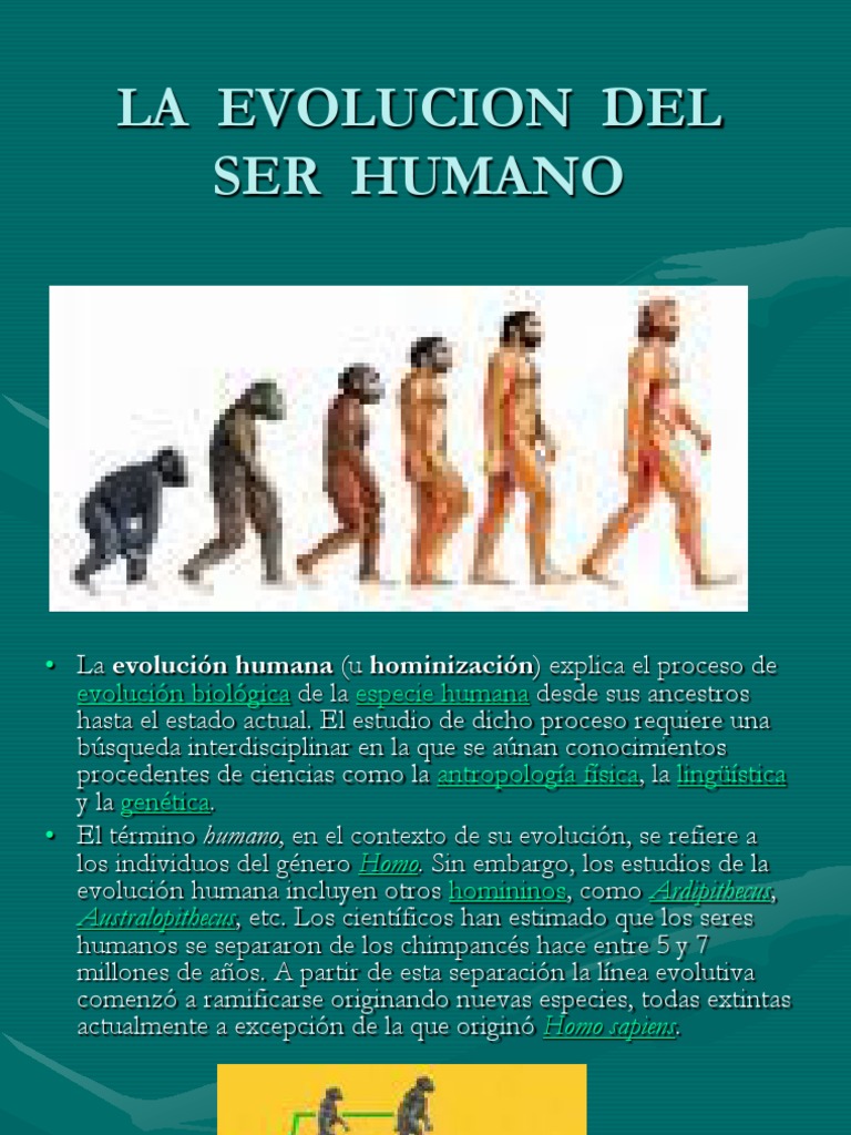 La Evolucion Del Ser Humano | PDF | Homo | Evolución humana